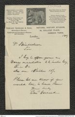 Nachlass Franz Steindachner, Brief von Gerrard Edward & Sons an Franz Steindachner (1909), Inv.Nr. 156.10, Seite 1